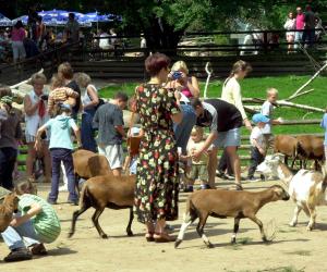 tiergarten zoo nuernberg